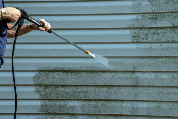 Professional Pressure Washing in Altavista, VA