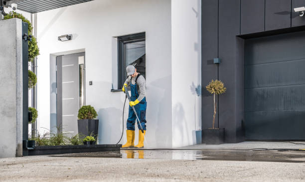 Animal Enclosure Cleaning in Altavista, VA